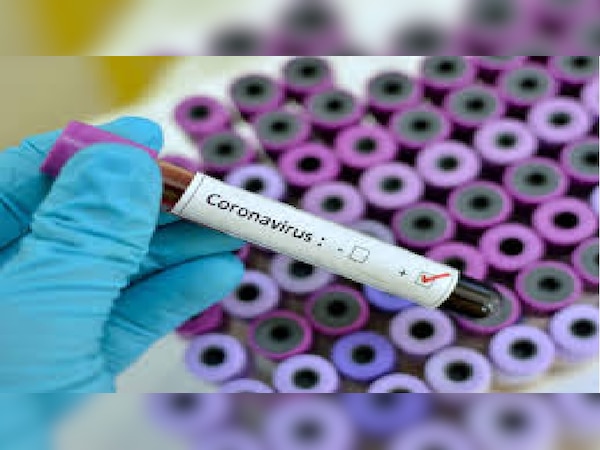 फाइल फोटो...