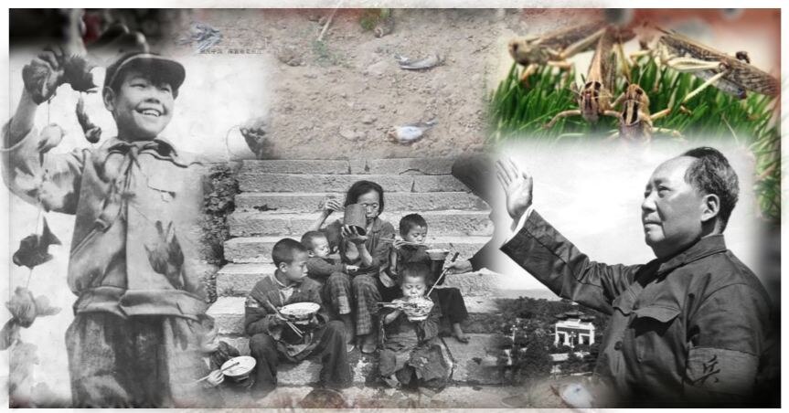 पुराना पापी है चीन, 1958 में खूब मारी थीं गौरेया, फिर ढाई करोड़ लोग भूख से मरे थे