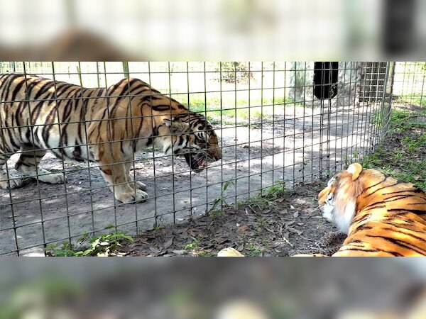 ପ୍ରତୀକାତ୍ମକ ଫଟୋ