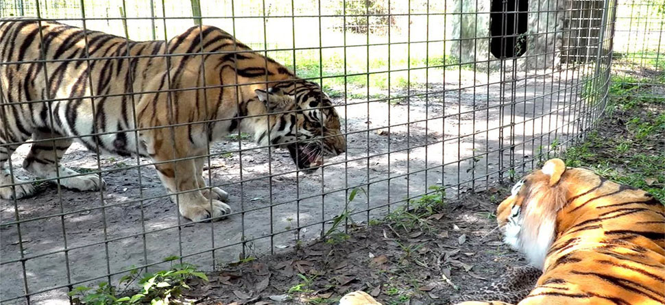 ପ୍ରତୀକାତ୍ମକ ଫଟୋ ପ୍ରତୀକାତ୍ମକ ଫଟୋ