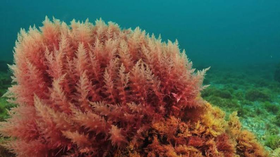 ଫଟୋ ସୌଜନ୍ୟ: ଜୀ ମିଡିଆ ଫଟୋ ସୌଜନ୍ୟ: ଜୀ ମିଡିଆ