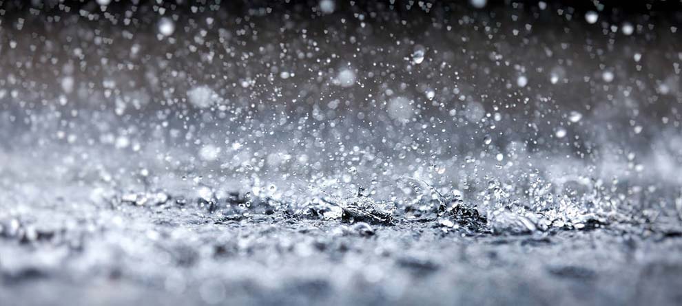 ଚଳିତ ବର୍ଷ ମୌସୂମୀର ସ୍ଥିତି: କେରଳରେ ସ୍ୱାଭାବିକ, ଓଡ଼ିଶାରେ ବିଳମ୍ବ ଚଳିତ ବର୍ଷ ମୌସୂମୀର ସ୍ଥିତି: କେରଳରେ ସ୍ୱାଭାବିକ, ଓଡ଼ିଶାରେ ବିଳମ୍ବ