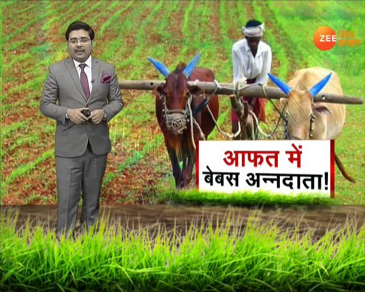 Lockdown and rain affect farming in Jharkhand | झारखंड ...