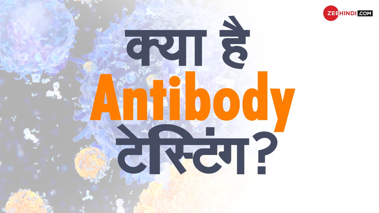 antibody testing how much appropriate in treatment of covid 19 कोविड