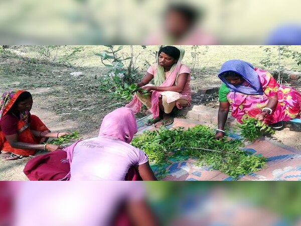  ଝାଡ଼ଖଣ୍ଡର ମହିଳା ପ୍ରସ୍ତୁତ କରୁଛନ୍ତି ଏଭଳି ମାସ୍କ, ଯାହା...