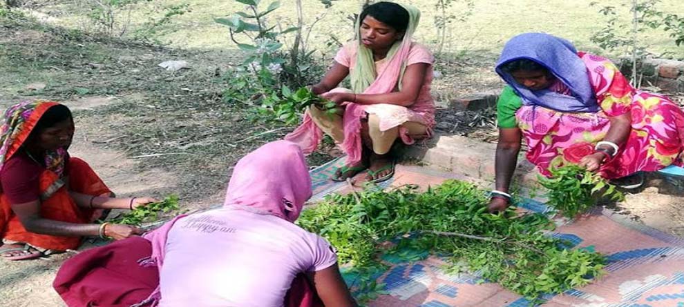 ଝାଡ଼ଖଣ୍ଡର ମହିଳା ପ୍ରସ୍ତୁତ କରୁଛନ୍ତି ଏଭଳି ମାସ୍କ, ଯାହା... ଝାଡ଼ଖଣ୍ଡର ମହିଳା ପ୍ରସ୍ତୁତ କରୁଛନ୍ତି ଏଭଳି ମାସ୍କ, ଯାହା...