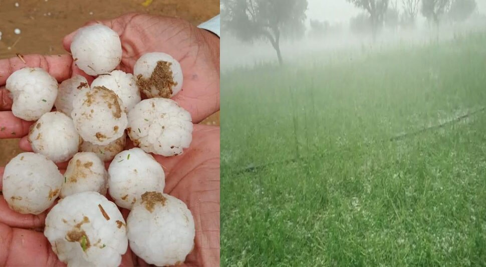 छत्तीसगढ़: किसानों पर बरपा कुदरत का कहर, बारिश और ओलावृष्टि से 95 फीसदी फसल बर्बाद