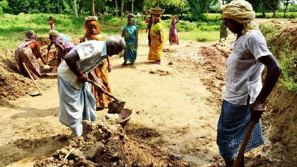 मनरेगा मजदूरों को मिला काम, UP के इस गांव ने ऐसे पकड़ी विकास की रफ्तार मनरेगा मजदूरों को मिला काम, UP के इस गांव ने ऐसे पकड़ी विकास की रफ्तार