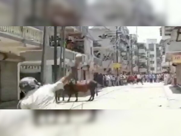 ଫଟୋ ସୌଜନ୍ୟ: ଭିଡିଓ ଏଏନଆଇ