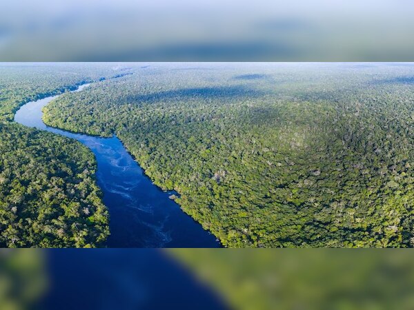 ଆମାଜନ ଜଙ୍ଗଲରୁ ଆସିବ ଆଉ ଏକ ମହାମାରୀ ! 