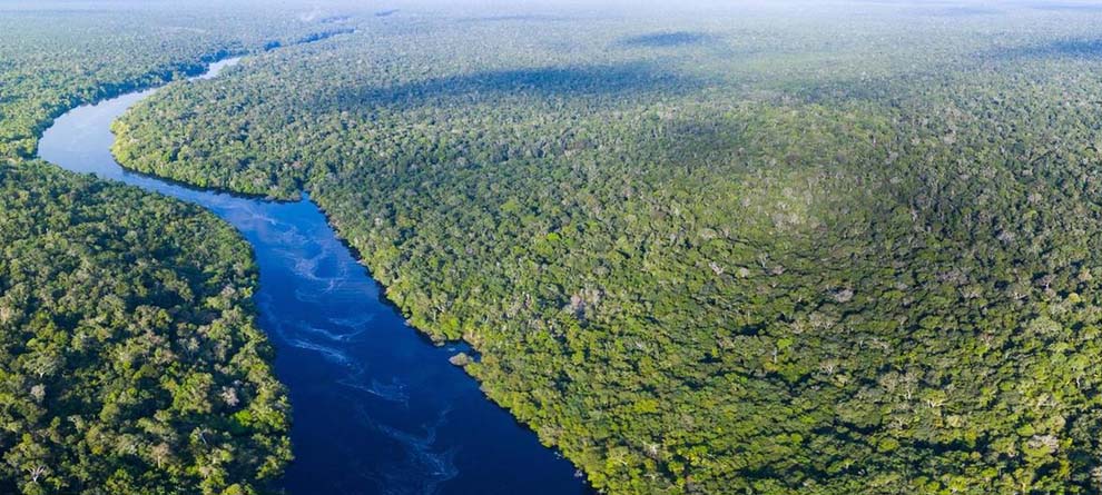 ଆମାଜନ ଜଙ୍ଗଲରୁ ଆସିବ ଆଉ ଏକ ମହାମାରୀ ! ଆମାଜନ ଜଙ୍ଗଲରୁ ଆସିବ ଆଉ ଏକ ମହାମାରୀ !