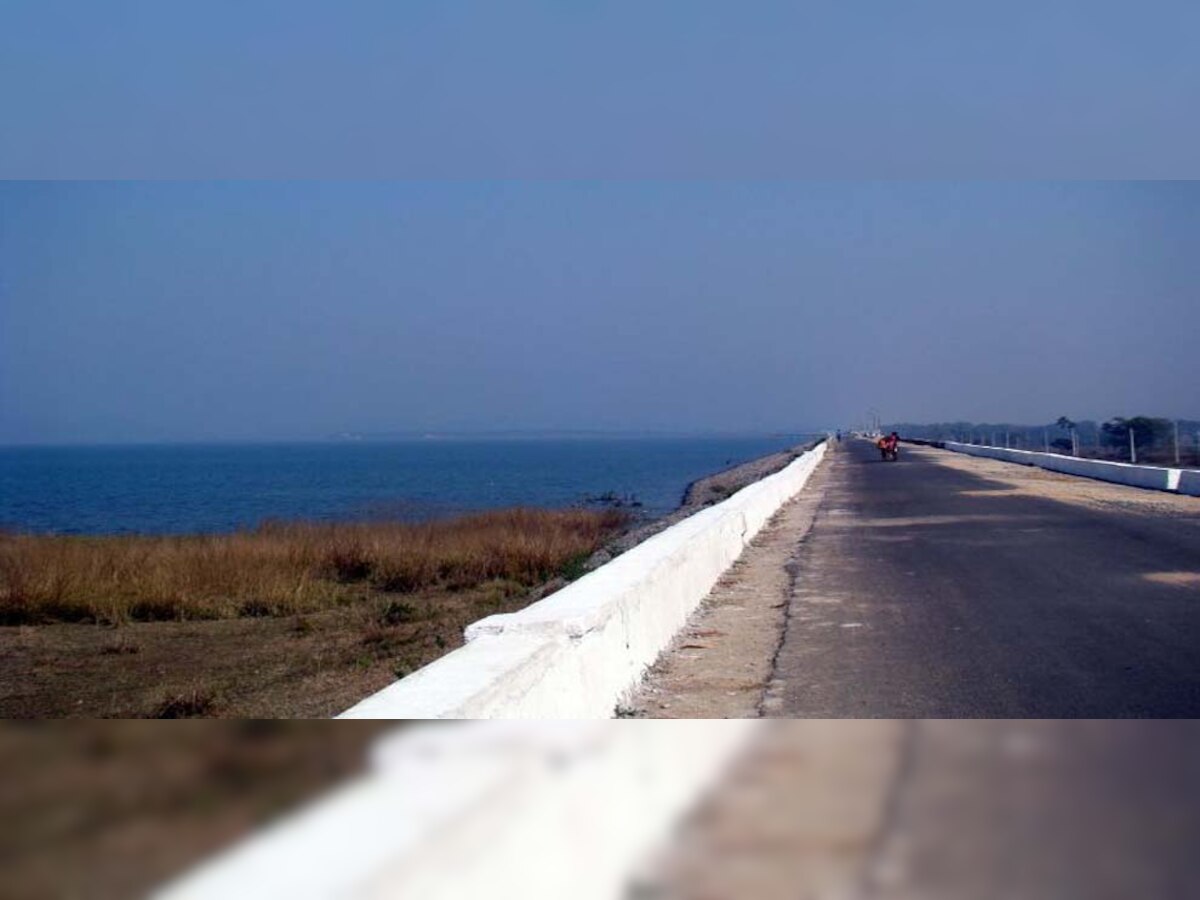 ହୀରାକୁଦରେ ବିଦେଶୀ ପକ୍ଷୀଙ୍କ ଭିଡ଼