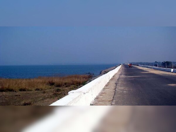 ହୀରାକୁଦରେ ବିଦେଶୀ ପକ୍ଷୀଙ୍କ ଭିଡ଼