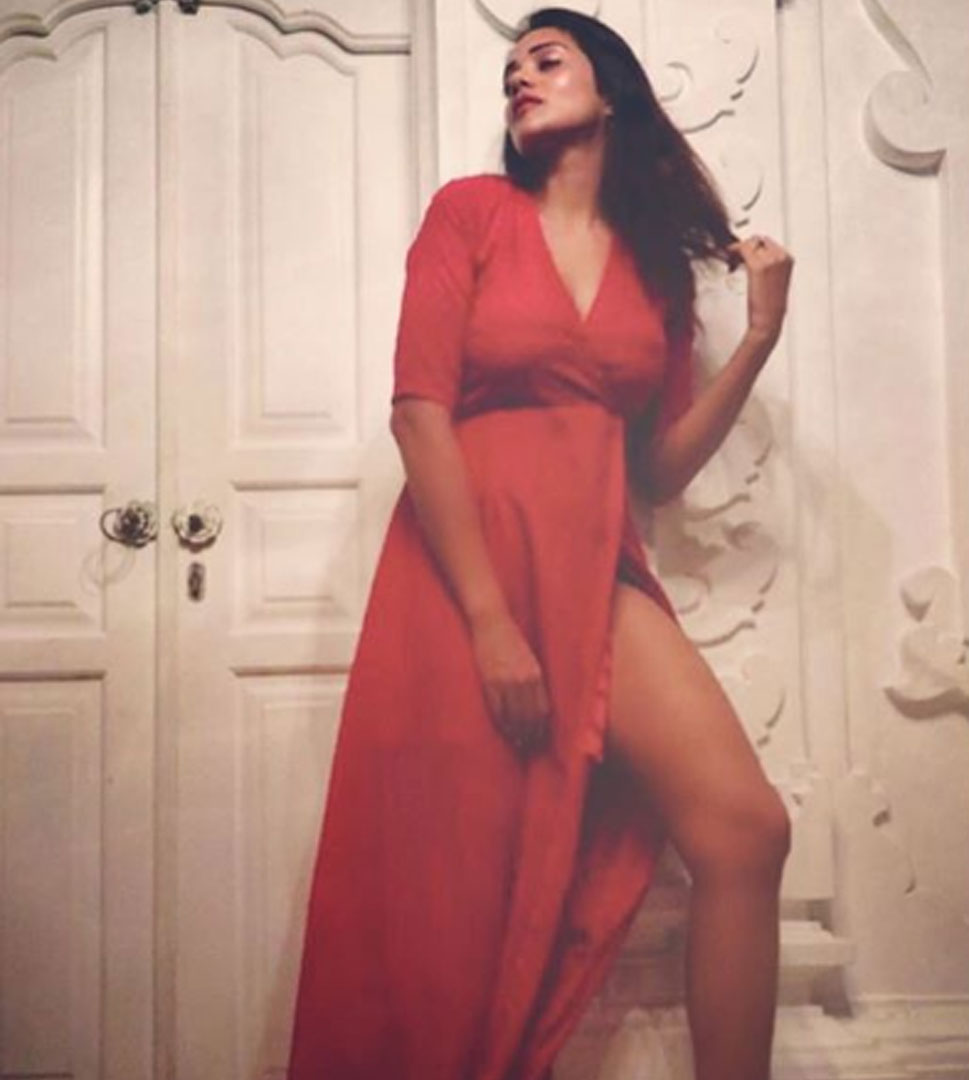 इस टीवी शोज में आईं नजर Megha gupta