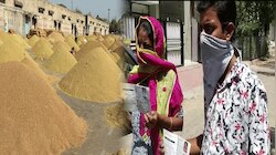 कोरोना संकट में छिन रहा गरीब के हक का निवाला, 10 की बजाय मिल रहा मात्र 5 Kg गेंहू