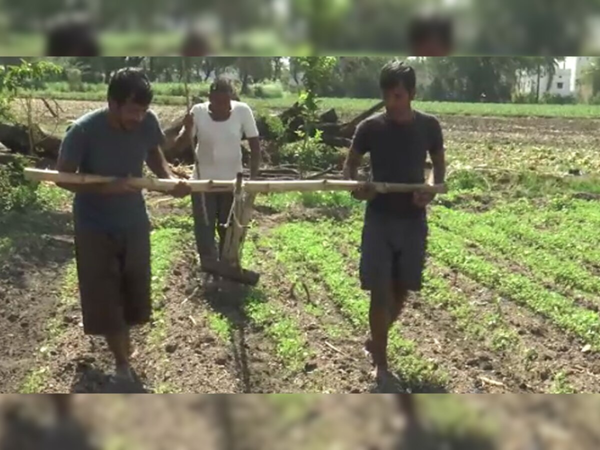 बेटों ने बैल बनकर जोते खेत