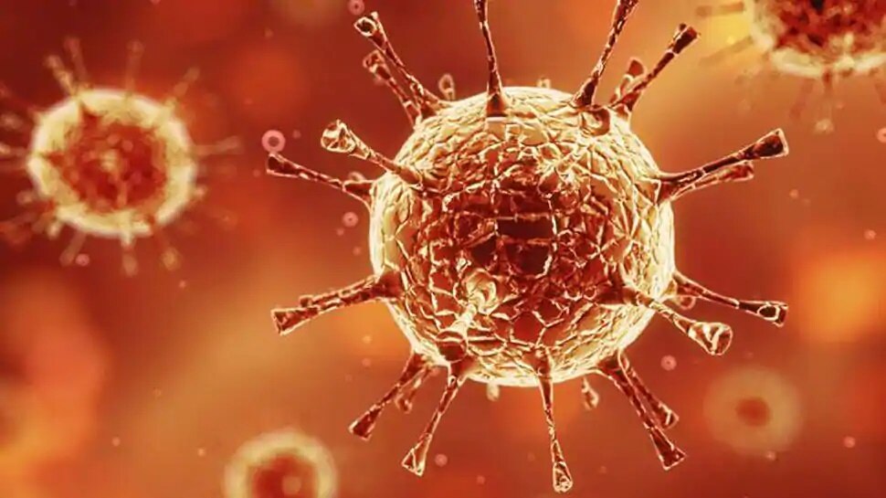 Coronavirus Cases in India Country Registered 6566 New COVID-19 ...