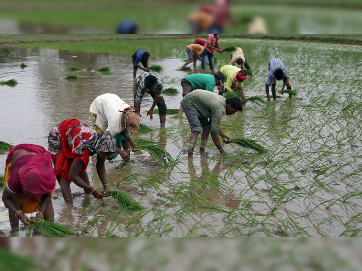 सरकार चरणबद्ध तरीके से करेगी कर्जमाफी का ऐलान...  