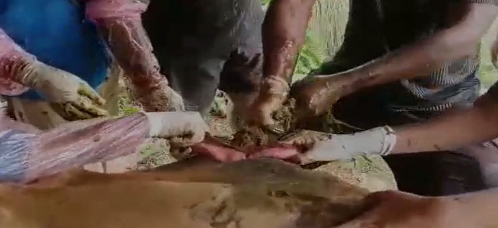 ଷଣ୍ଢ ପେଟରୁ ବାହାରିଲା ୬୦ କେଜି ପଲିଥିନ ଷଣ୍ଢ ପେଟରୁ ବାହାରିଲା ୬୦ କେଜି ପଲିଥିନ