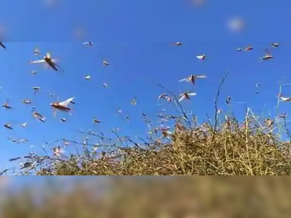 ଫାଇଲ ଫଟୋ