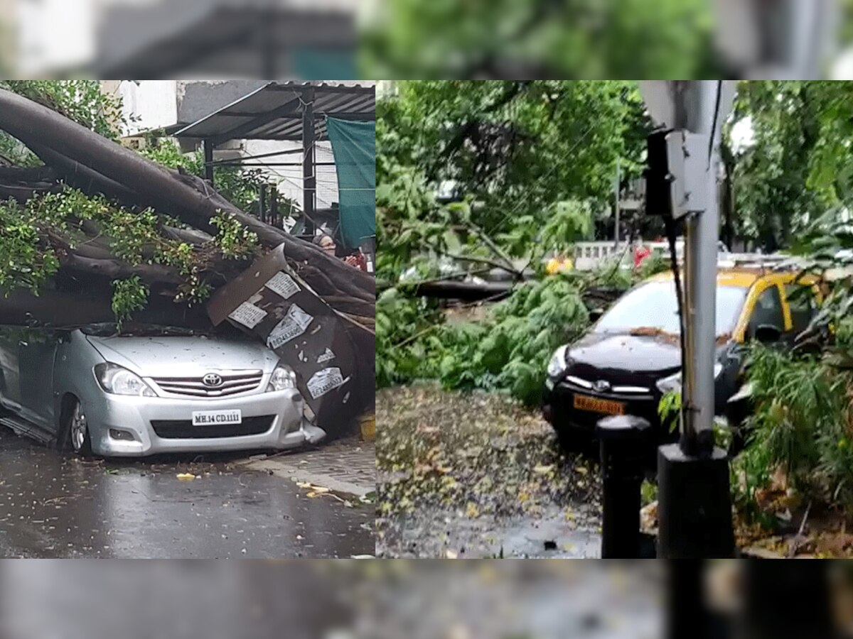 महाराष्ट्र में Cyclone Nisarga का कहर, कई जगह पेड़ टूटे, घरों को भी पहुंचा नुकसान