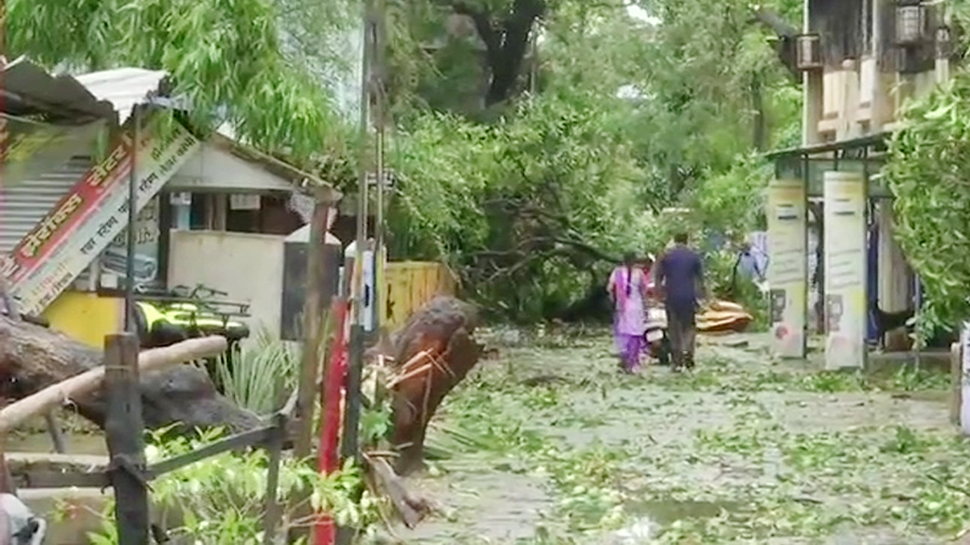 Cyclone Nisarga के चलते महाराष्ट्र में कई जगहों पर गिरे पेड़, घरों को भी हुआ नुकसान Cyclone Nisarga के चलते महाराष्ट्र में कई जगहों पर गिरे पेड़, घरों को भी हुआ नुकसान