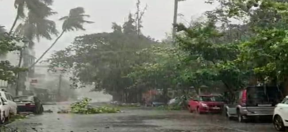 ମହାରାଷ୍ଟ୍ରରେ 'ନିସର୍ଗ' ଯୋଗୁଁ ୬ ଜଣଙ୍କ ମୃତ୍ୟୁ, ୧୪ଟି ଜିଲ୍ଲା ପ୍ରଭାବିତ ମହାରାଷ୍ଟ୍ରରେ 'ନିସର୍ଗ' ଯୋଗୁଁ ୬ ଜଣଙ୍କ ମୃତ୍ୟୁ, ୧୪ଟି ଜିଲ୍ଲା ପ୍ରଭାବିତ