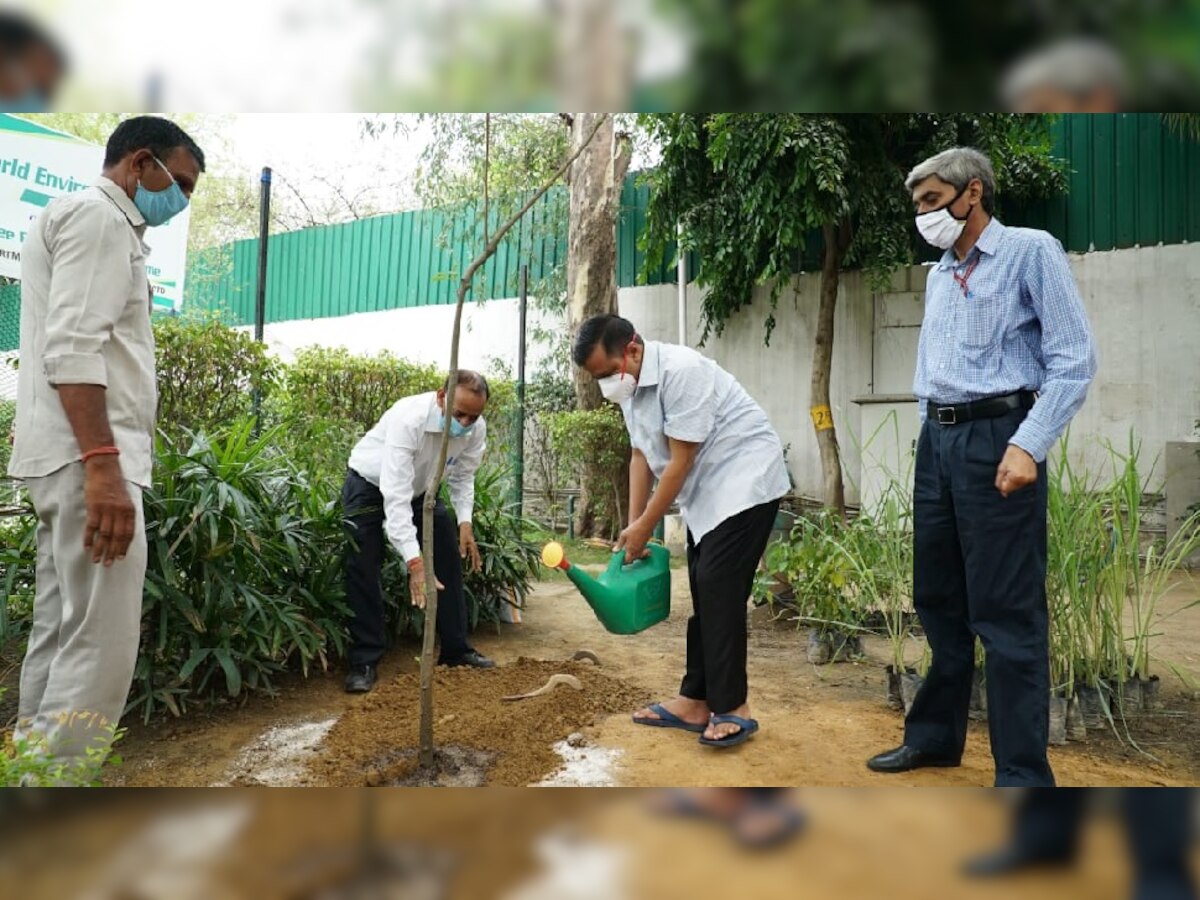 कोरोना से लड़ने के लिए दिल्ली सरकार फ्री में बांटेगी औषधीय पौधे, मिलेगा ये फायदा 