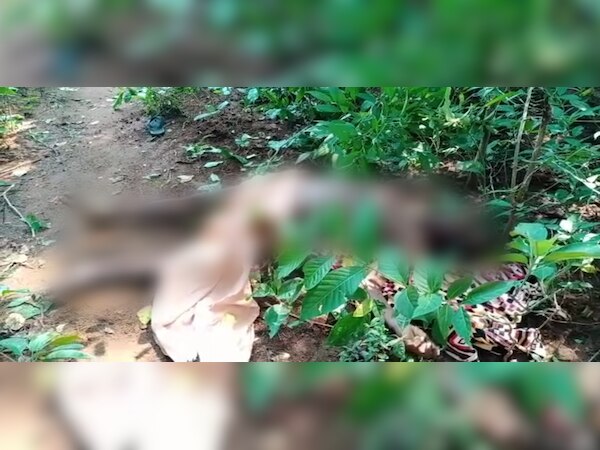 ଫଟୋ ସୌଜନ୍ୟ: ଜୀ ମିଡିଆ