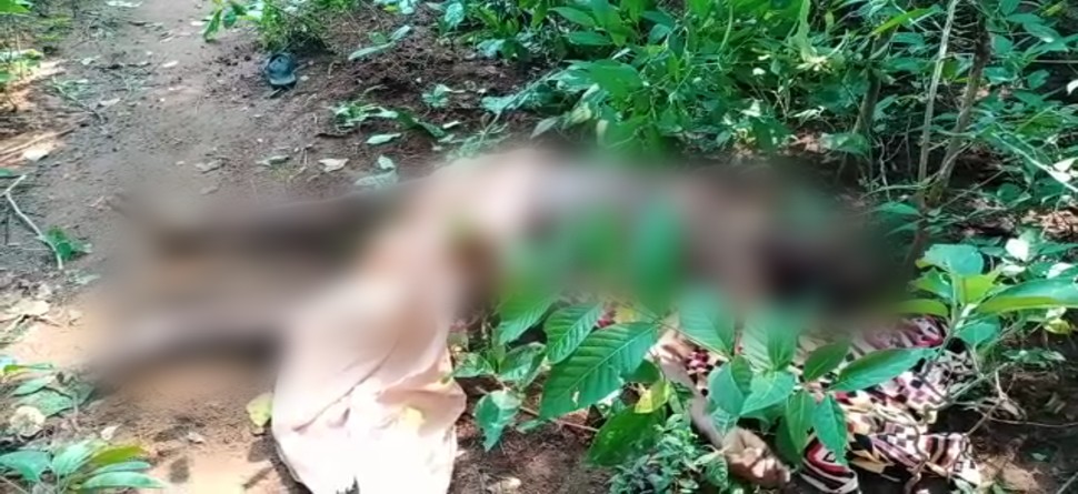 ଫଟୋ ସୌଜନ୍ୟ: ଜୀ ମିଡିଆ ଫଟୋ ସୌଜନ୍ୟ: ଜୀ ମିଡିଆ