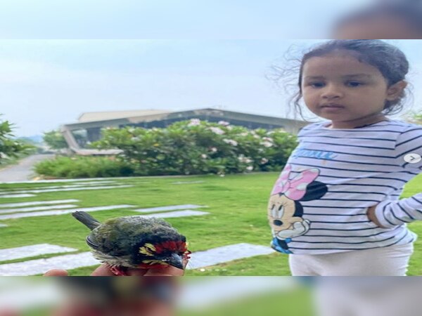 महेंद्र सिंह धोनी की बेटी जीवा.