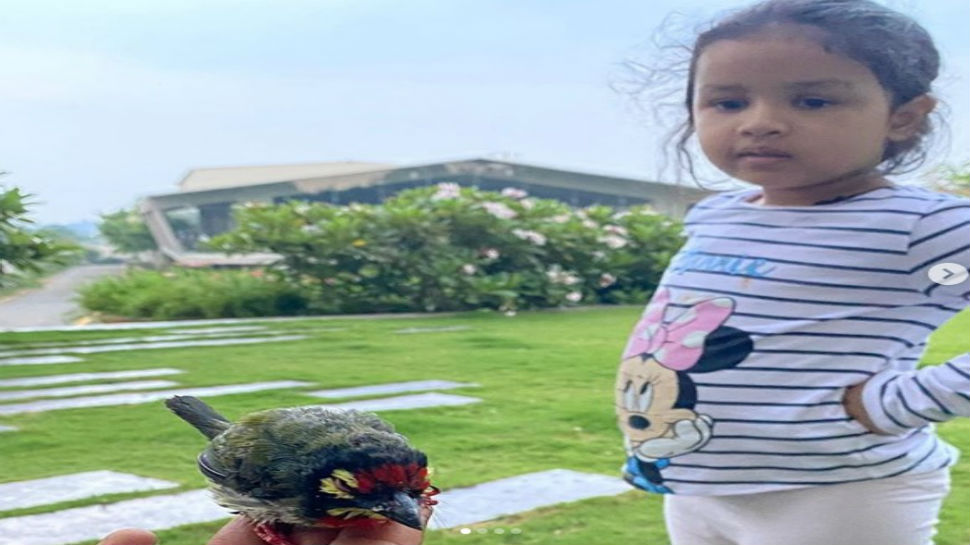 महेंद्र सिंह धोनी की बेटी जीवा. महेंद्र सिंह धोनी की बेटी जीवा.