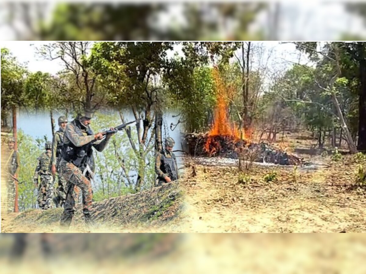 गढ़चिरौली में नक्सलियों ने जला दिया फॉरेस्ट ऑफिस, वन रेंजरों के साथ मारपीट