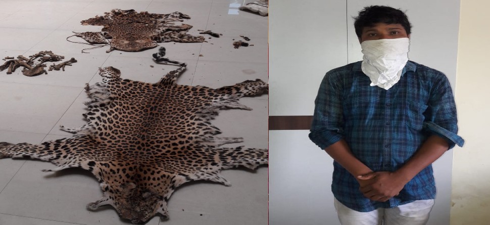 ଫଟୋ ସୌଜନ୍ୟ: ଜୀ ମିଡିଆ ଫଟୋ ସୌଜନ୍ୟ: ଜୀ ମିଡିଆ