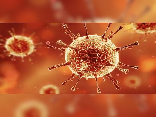 ପ୍ରତୀକାତ୍ମକ ଫଟୋ