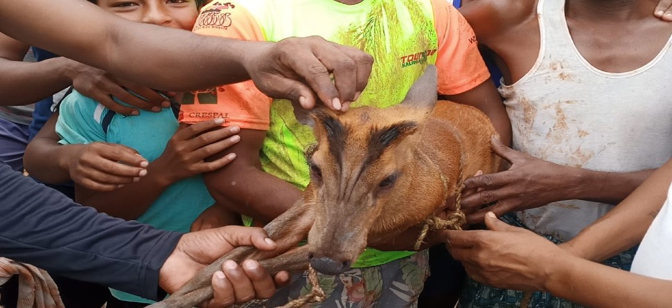 ଫଟୋ ସୌଜନ୍ୟ: ଜୀ ମିଡିଆ ଫଟୋ ସୌଜନ୍ୟ: ଜୀ ମିଡିଆ