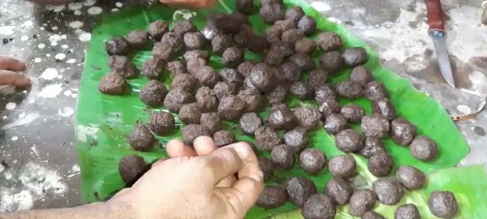 ଆଜି ଅଣସର ଏକାଦଶୀ, ଲାଗି ହେବ ଦଶମୂଳ ମୋଦକ ଆଜି ଅଣସର ଏକାଦଶୀ, ଲାଗି ହେବ ଦଶମୂଳ ମୋଦକ