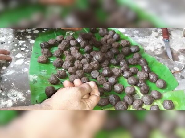 ଆଜି ଅଣସର ଏକାଦଶୀ, ଲାଗି ହେବ ଦଶମୂଳ ମୋଦକ