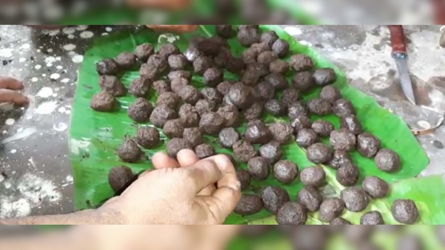 ଆଜି ଅଣସର ଏକାଦଶୀ, ଲାଗି ହେବ ଦଶମୂଳ ମୋଦକ