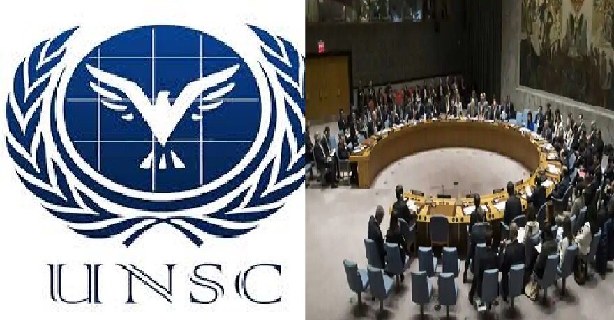 184 मत पाकर भारत बना UNSC का अस्थायी सदस्य, विदेश मंत्रालय की ये प्रतिक्रिया