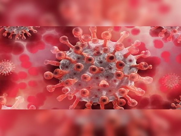 ପ୍ରତୀକାତ୍ମକ ଫଟୋ