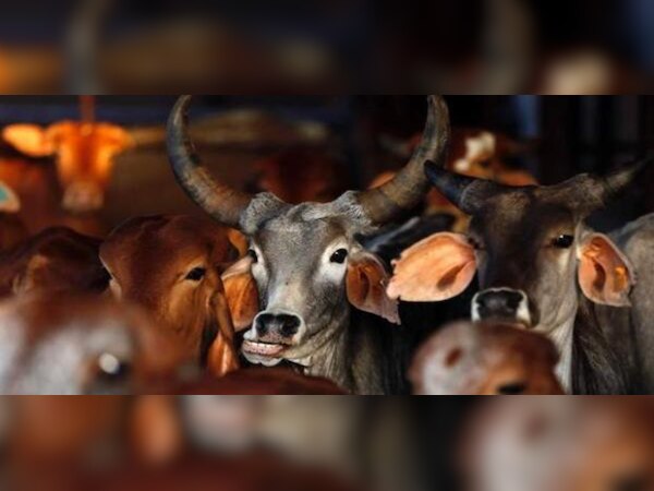 ପ୍ରତୀକାତ୍ମକ ଫଟୋ