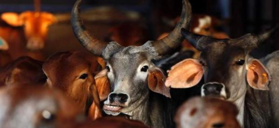 ପ୍ରତୀକାତ୍ମକ ଫଟୋ ପ୍ରତୀକାତ୍ମକ ଫଟୋ