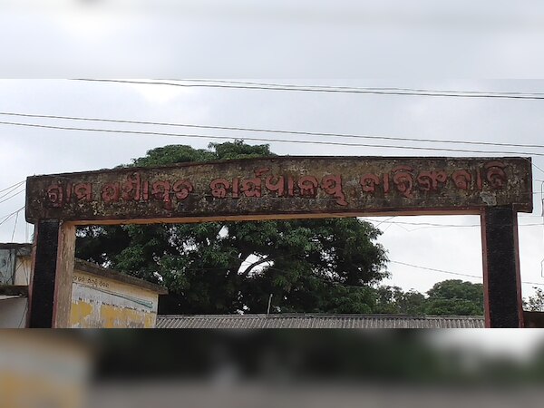 ଫାଇଲ ଫଟୋ