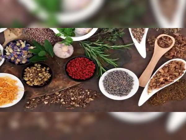 ଆୟୁର୍ବେଦିକ ଜଡ଼ିବୁଟିରେ ପ୍ରସ୍ତୁତ କୋରୋନିଲ କେତେ କାର୍ଯ୍ୟକ୍ଷମ...