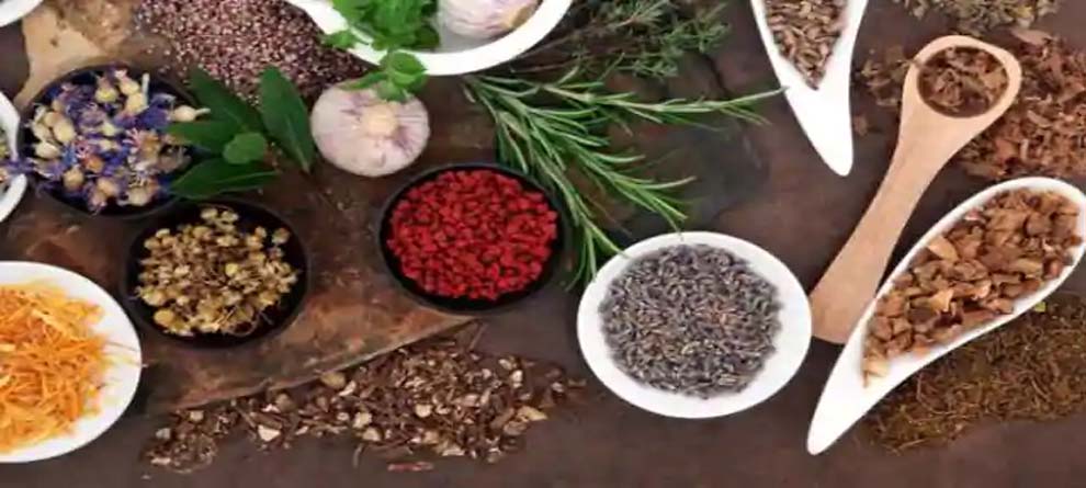 ଆୟୁର୍ବେଦିକ ଜଡ଼ିବୁଟିରେ ପ୍ରସ୍ତୁତ କୋରୋନିଲ କେତେ କାର୍ଯ୍ୟକ୍ଷମ... ଆୟୁର୍ବେଦିକ ଜଡ଼ିବୁଟିରେ ପ୍ରସ୍ତୁତ କୋରୋନିଲ କେତେ କାର୍ଯ୍ୟକ୍ଷମ...