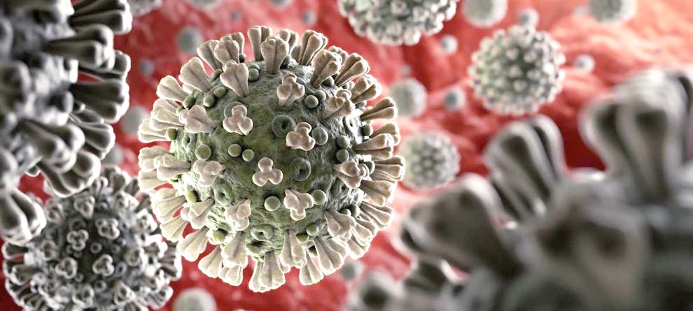 ସରକାରୀ କାର୍ଯ୍ୟାଳୟରେ ସାଧାରଣଙ୍କ ଚଳପ୍ରଚଳ ନେଇ କଟକଣା ଜାରି, ଜିଲା ବଢୁଛି କୋରୋନା ସଂକ୍ରମଣ ସରକାରୀ କାର୍ଯ୍ୟାଳୟରେ ସାଧାରଣଙ୍କ ଚଳପ୍ରଚଳ ନେଇ କଟକଣା ଜାରି, ଜିଲା ବଢୁଛି କୋରୋନା ସଂକ୍ରମଣ