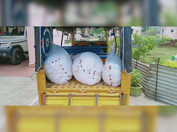 ଦୁଇଟି ଅଟୋ ସହ ୧୫୭ କେଜି ଗଞ୍ଜେଇ ଜବତ, ବାପାପୁଅ ଗିରଫ