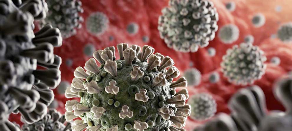 ରାଜ୍ୟରେ ୨୧ ଜିଲ୍ଲାରୁ ୨୧୮ ନୂଆ କୋରୋନା ମାମଲା, ଗଞ୍ଜାମରୁ ସର୍ବାଧିକ ରାଜ୍ୟରେ ୨୧ ଜିଲ୍ଲାରୁ ୨୧୮ ନୂଆ କୋରୋନା ମାମଲା, ଗଞ୍ଜାମରୁ ସର୍ବାଧିକ