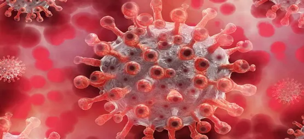 ରୂପ ବଦଳାଉଛି କୋରୋନା ଭାଇରସ, ବେକାର ହୋଇଯିବ କି ଭ୍ୟାକ୍ସିନ ? ରୂପ ବଦଳାଉଛି କୋରୋନା ଭାଇରସ, ବେକାର ହୋଇଯିବ କି ଭ୍ୟାକ୍ସିନ ?